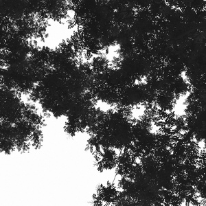 打屁股从白打到嫩红网站
